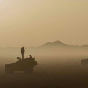 Meet your Posher, Fran